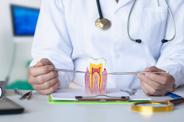 Best Emergency Orthodontic Repairs in Coyne Center, IL